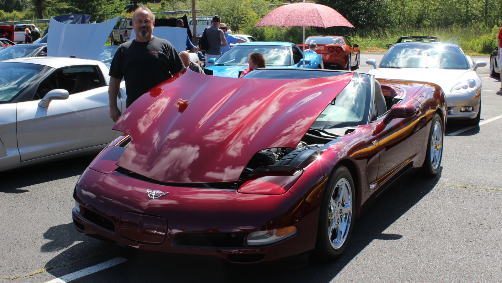 Click to Enlarge-Esc to Close Corvette Generations/C5/C5 2003 Purple 50th.webp